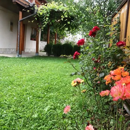 Vila Zuko *